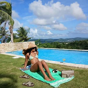  Campsite Jubilee Swim & Paint Puerto Rico